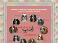 inkahootscavaliers.com