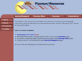pacmanfly.org