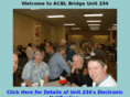 unit234bridge.com