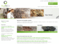 ausnico.com