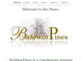 baldwinpines.com