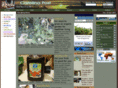 carolinapost.com