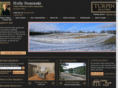 hollysuminski.com