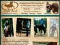 righttouchhorsetraining.com