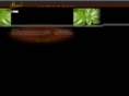 basilcarmel.com