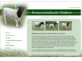 dorperschafzucht.com