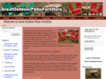 greatoutdoorpatiofurniture.com