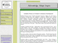 partneringinevolution.com