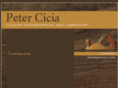 pcicia.com