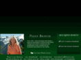 peggybriscoe.com