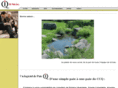 qipaie.com