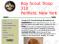 troop310.org