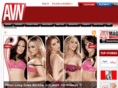 avn.net