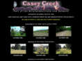 caseycreek-land.com
