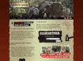 celticsafari.com