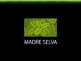 editorialmadreselva.com.ar