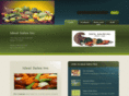 idealsales.com