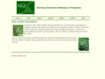 newgrowthint.com