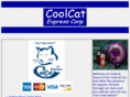 coolcatcorp.com