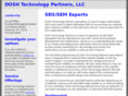 doshtechnologypartners.com