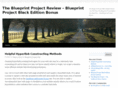 theblueprintproject.com