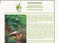 watergardenhotel.com