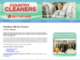 drycleanerswoodbury.com