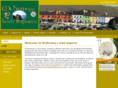 mcnerneysirishimports.com