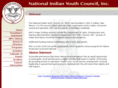 niyc-alb.org