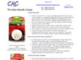 carbonmonoxidecompany.com