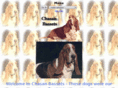 chasanbassets.com