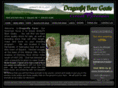 dragonflyboergoats.com