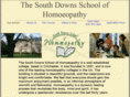 homoeopathyschool.com