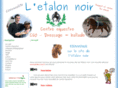 letalon-noir.fr