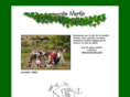 morfin.info