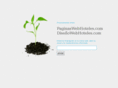 paginaswebhoteles.com