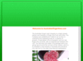australianfingerlime.com