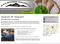 blackmountainchiropractic.net