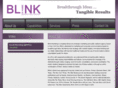blinkmarketingnyc.com
