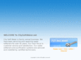 citysoftwater.net