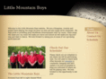 littlemountainboys.com