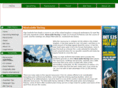 newcastleracing.com