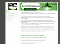 theabsintheshop.com