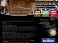 collinspianoservice.com