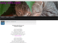 lady-info.com
