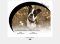 montrealndgdogrun.org