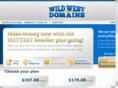 willardwideweb.com