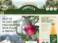 copellafruitjuices.co.uk