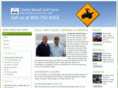golfcarcreations.com