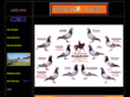 choiceloft.com
